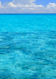 Beautiful sea in summer4