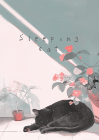 Sleeping black cat - morning