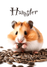 "Hamster vol.5" theme