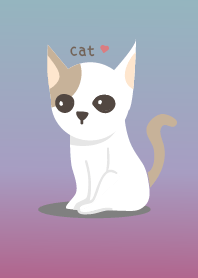 cute cat cat