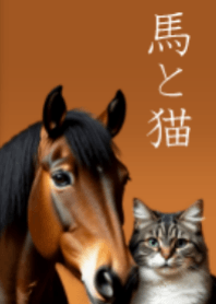 Horse, cat 2