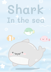 Shark in  sea!