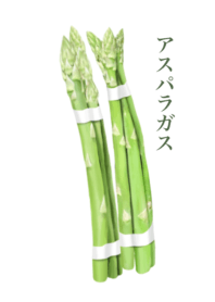 国産 アスパラガス　10