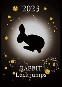 Gray : 2023 a jump rabbit!