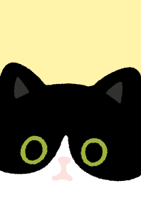 แมวดำดำมาก..16