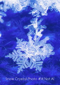 Snow Crystal Photo #14-23Not AI