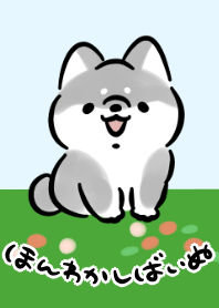 ほんわかしばいぬ<黒>