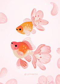 Cherry blossom goldfish