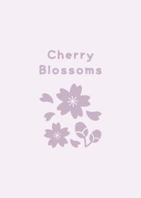 Cherry Blossoms15.PurplePink.