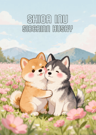 Cute Shiba Inu & Siberian husky (JP)