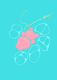 さまばけもちきんちゃく