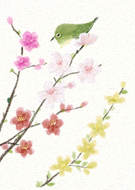 spring viewing