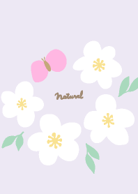 White flowers butterflies swaying22Japan