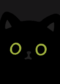 Black cat so black_Brown