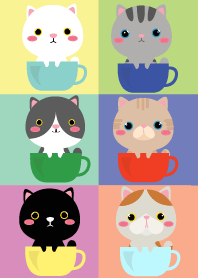 แมวในแก้วกาแฟ