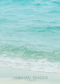 HAWAIIAN-SEASIDE SHELL 18
