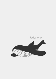 Fastest whale