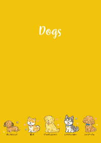 My beloved dog02 yellow