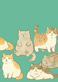 blue green 猫は癒してくれる11