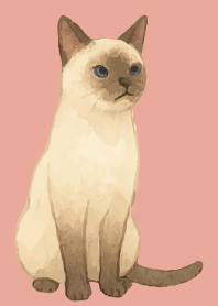 Siamese cat holiday03 pink&blue JP