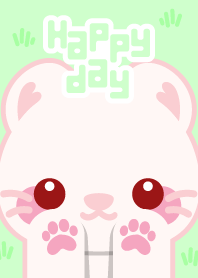 Happy day with cute Ferret