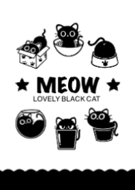 Cute and lovely black cat