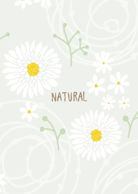 White flower darkish16 from Japan