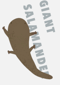 Giant salamanders