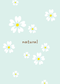 5 white petals18 from Japan