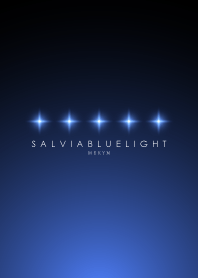 SALVIA BLUE STARLIGHT