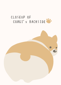 CLOSEUP OF CORGI's BACKSIDE/CREAM PINK