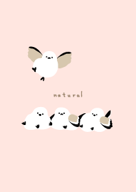 Long-tailed Tit line up26 from Japan