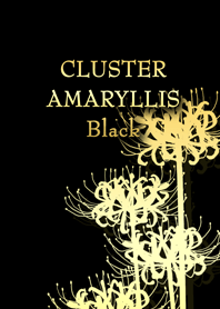 CLUSTER AMARYLLIS Black