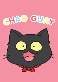 Chao Guay the Munchkin Cat