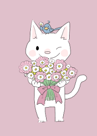 Cat congratulations