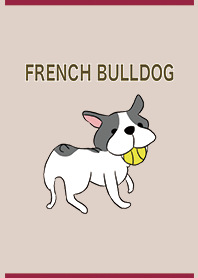 Bordeaux / French bulldog