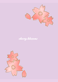 Pretty Cherry Blossoms on light purple