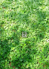 Green Green Green