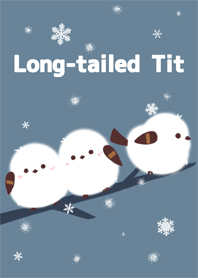 Relaxing Long-tailed Tit No.5