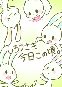Today's White Rabbits