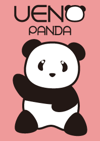 Panda named Ueno