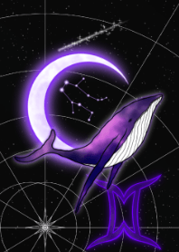 鲸鱼和双子座-紫色-