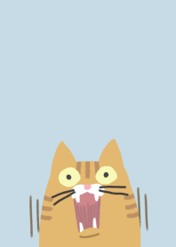 Surprising Cats
