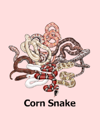 ENOGU CORN SNAKE Reptiles Theme