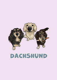 dachshund5 / periwinkle