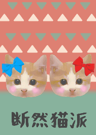 ♥️断然猫派3♥️