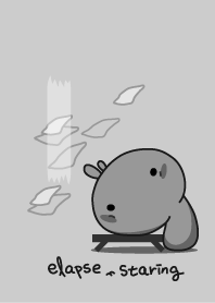 rabbit staring-34-cover