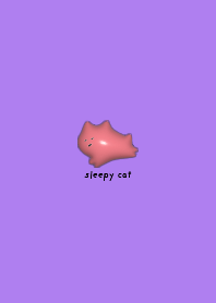 CAT white cat love cute 3D Theme sleep09