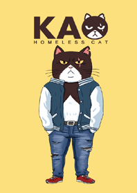 Kao homeless cat