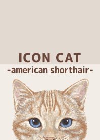 ICON CAT - American Shorthair - BROWN/04